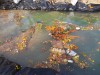The water is discoloured, and gold and coloured decorations, flower garlands, and other solid materials float on the surface or are visible in the water after an idol immersion in an artificial pond thumbnail